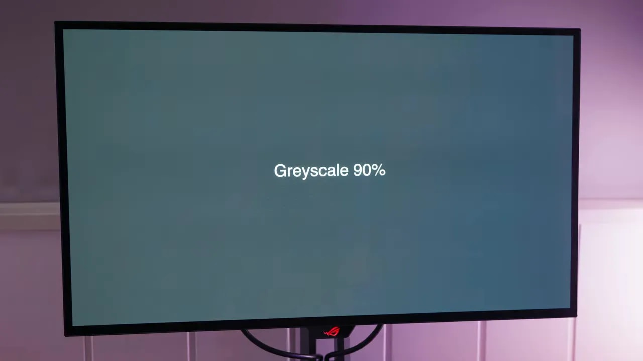 ASUS ROG XG27AQDMGR mostrando Greyscale 90% en pantalla