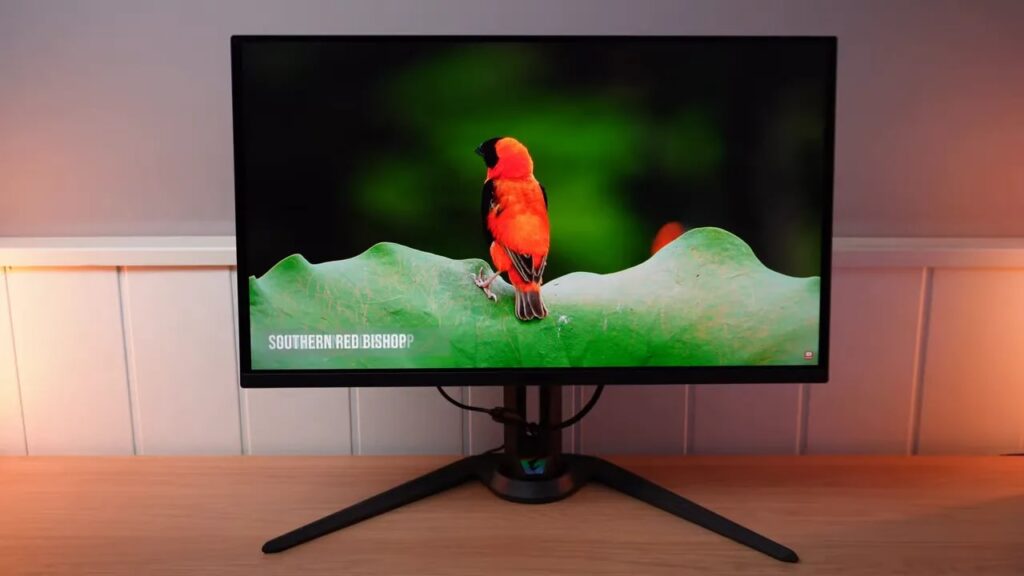Monitor Gigabyte AORUS FO27Q3 mostrando una escena de vídeo con un ave roja en pantalla