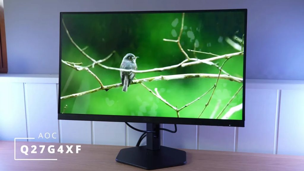 Pantalla del monitor AOC Q27G4XF con pájaro en rama y entorno verde